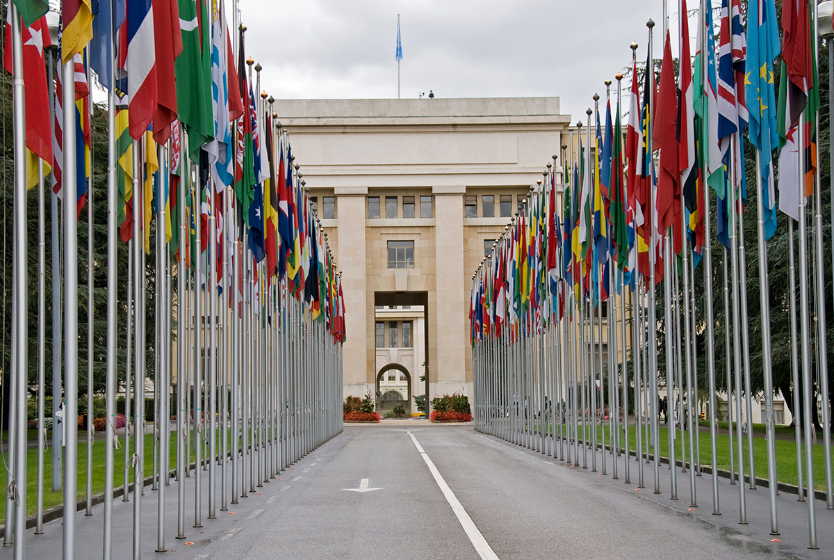 ONU - Universidad de Las Américas